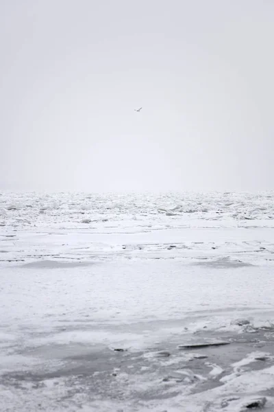 Fiume invernale ghiacciato — Foto Stock