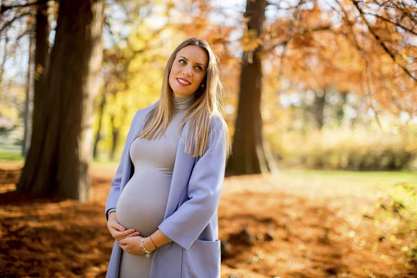 Zwangere vrouw poseren in het park — Stockfoto