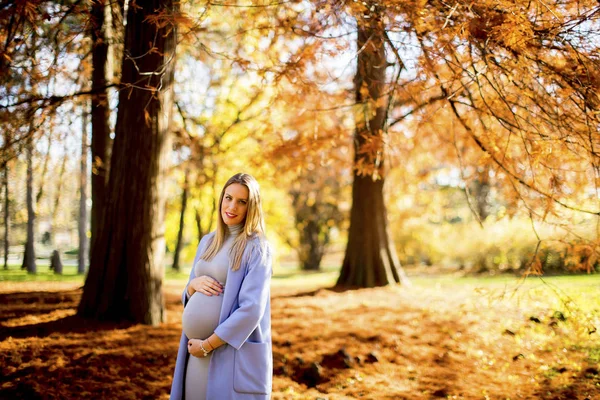 Pregnant woman posing in the park — Stock Photo, Image