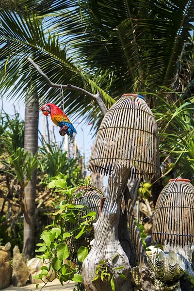 Decorative Parrot in Ko Pha Ngan — Stock Photo, Image