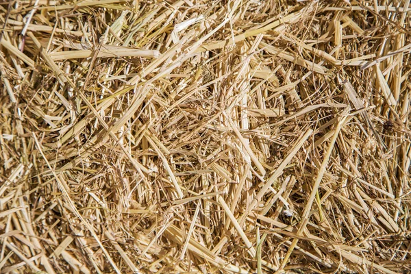 Hay seamless background — Stock Photo, Image