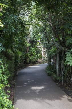 Tokyo'daki Ueno Hayvanat Bahçesi