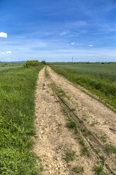 Strada di campagna vuota — Foto Stock