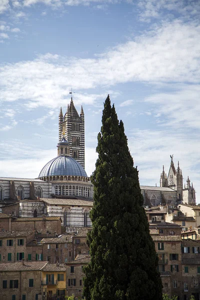 Sienas katedral i Italien — Stockfoto