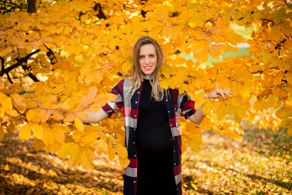 Mujer embarazada posando en el parque —  Fotos de Stock