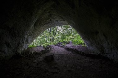 Uvac Sırbistan'ın mağara