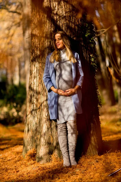 Gravid kvinne som poserer i parken – stockfoto