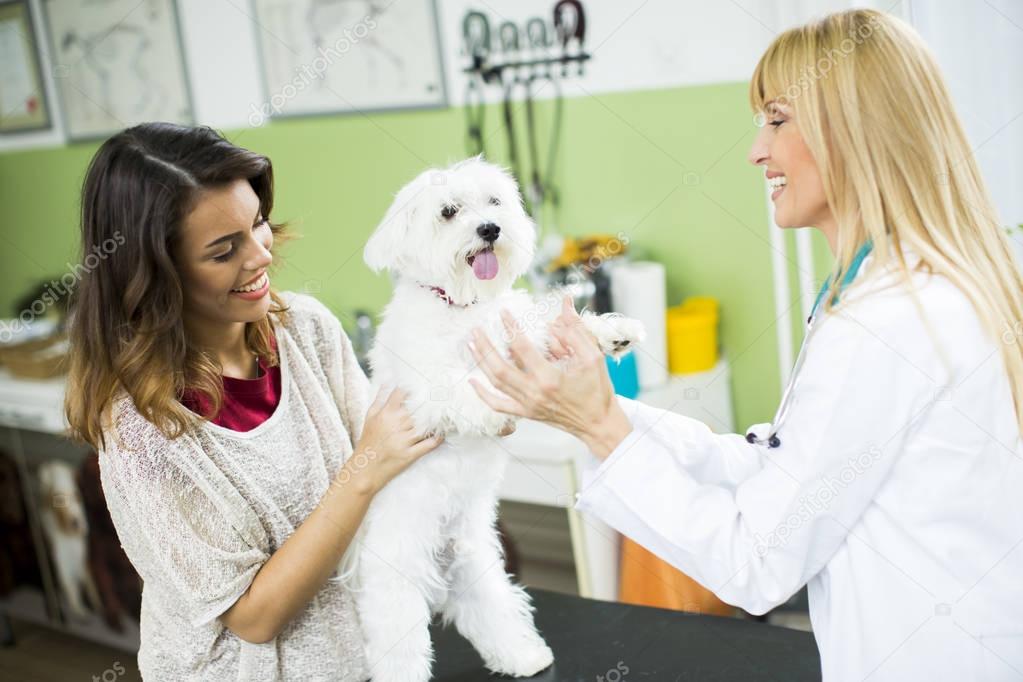Woman with a dog at veterinarian