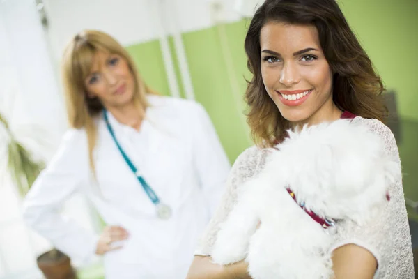 Woman with a dog at veterinarian — Stock Photo, Image