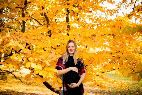 Kobieta w ciąży pozowała w parku. — Zdjęcie stockowe