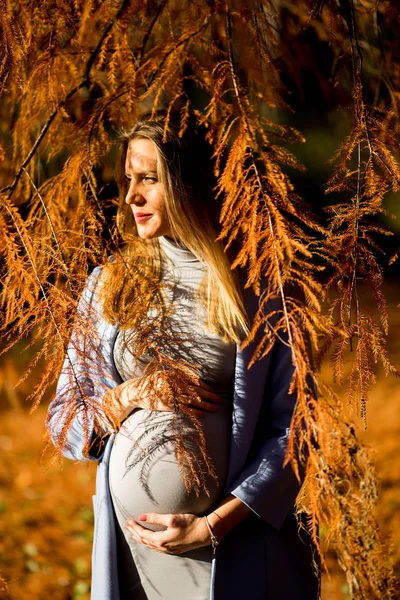 Беременная женщина позирует в парке — стоковое фото