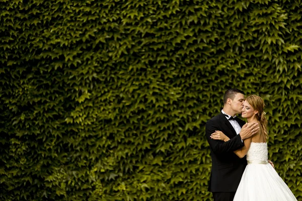 Casamento casal ao ar livre — Fotografia de Stock