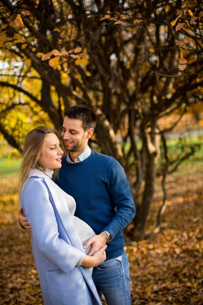 Glückliches Paar im Herbstpark — Stockfoto