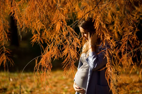 Mujer embarazada posando en el parque —  Fotos de Stock