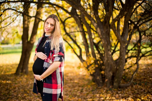 妊娠中の女性が公園でポーズ — ストック写真