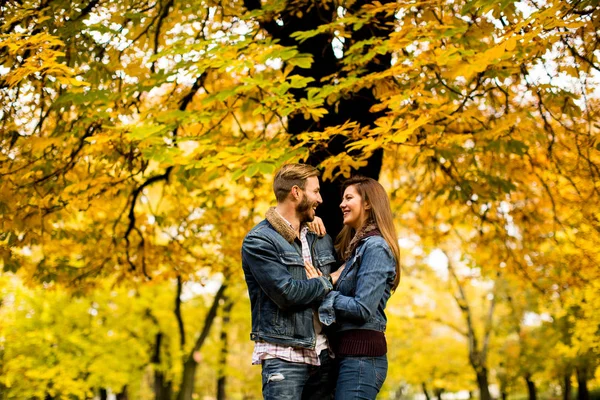 Jovem casal no parque de outono — Fotografia de Stock