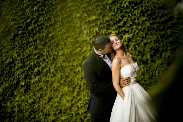 Bruidspaar buiten — Stockfoto