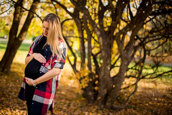 Femme enceinte posant dans le parc — Photo