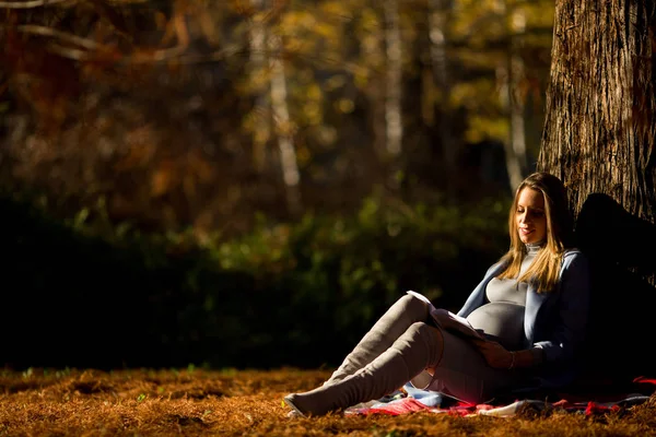 Femme enceinte lisant dans le parc — Photo