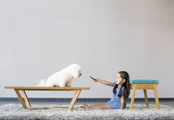 Odasında fino köpeği ile oynayan kız — Stok fotoğraf