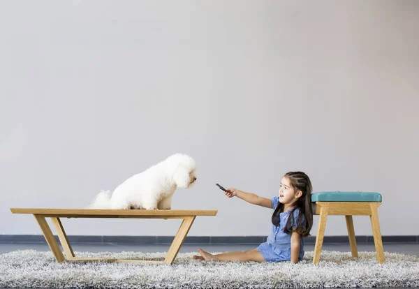 Mädchen spielt mit Pudel im Zimmer — Stockfoto