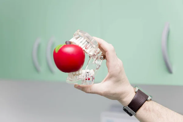 Стоматологи кусають яблуко — стокове фото