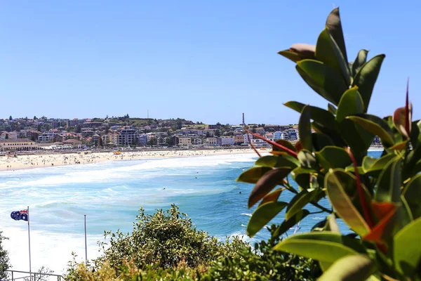 Bondi Beach i Sydney — Stockfoto