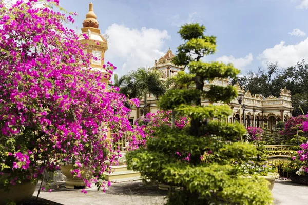 Храм Винь Чанг в дельте Меконга — стоковое фото
