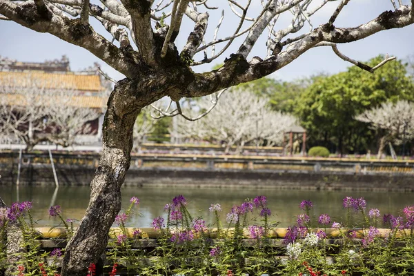 Palacio Real de Hue —  Fotos de Stock