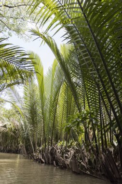 Vietnam'daki Mekong Deltası