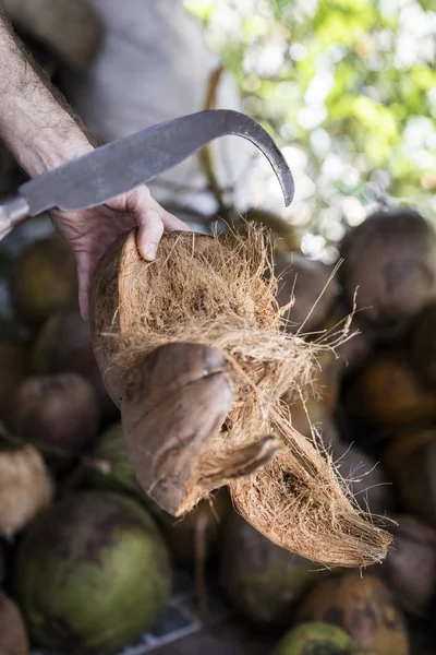 Vendedor com cocos no mercado — Fotografia de Stock