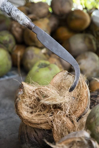 Cocos em bruto no mercado — Fotografia de Stock