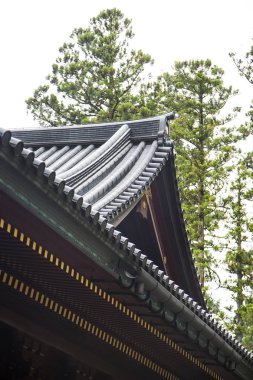 Nikko Tapınağı Japonya'da