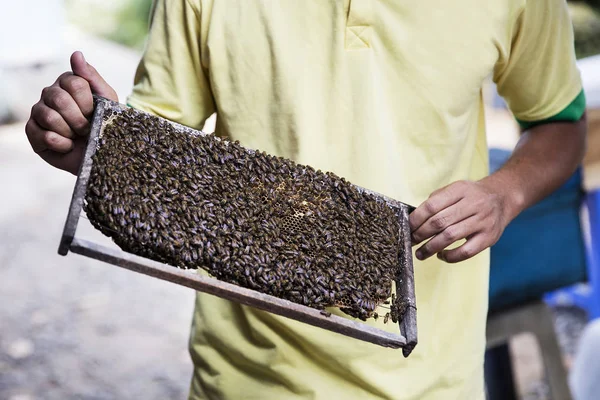 Producción de miel en Vietnam — Foto de Stock