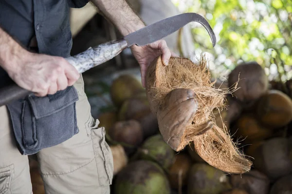 Coconuts on the market in Mekong Delta