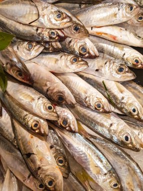 Piyasada mackerels balık