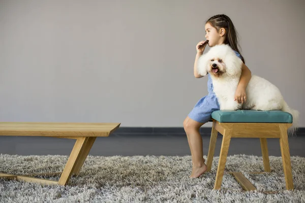 Menina brincando com poodle branco — Fotografia de Stock
