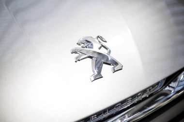 Peugeot araba Sergisi 