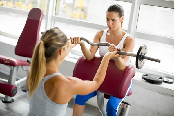 Mujeres bastante jóvenes tienen entrenamiento con pesas en el gimnasio — Foto de Stock