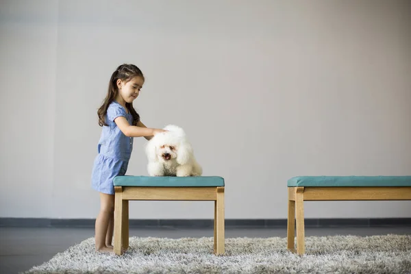 Menina brincando com poodle branco — Fotografia de Stock