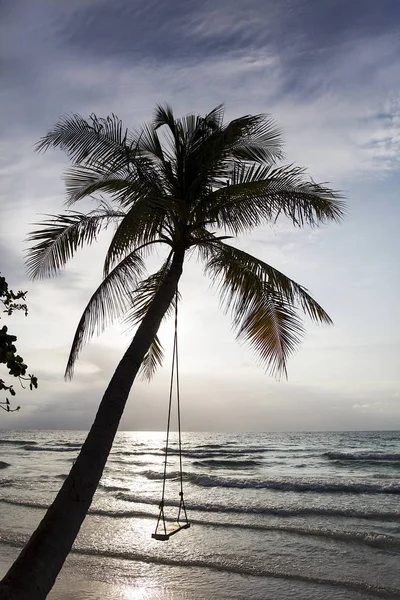 Tropical beach view — Stock Photo, Image