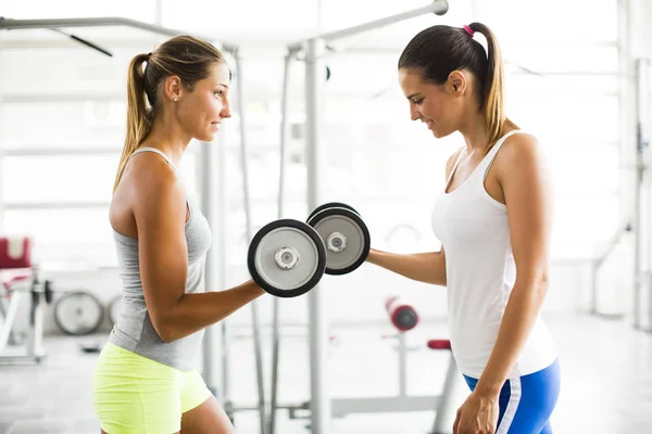Dos mujeres jóvenes haciendo ejercicio levantando pesas en el gimnasio — Foto de Stock