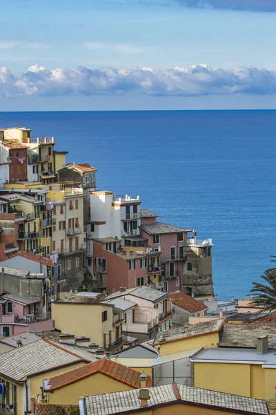 Manarola, cinque terre, feld y — стоковое фото