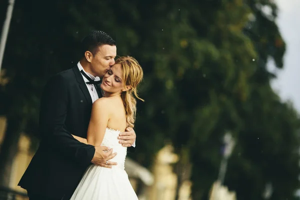 Wedding couple outdoors — Stock Photo, Image