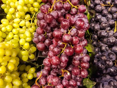 Kırmızı, siyah ve beyaz (yeşil) üzüm pazarında