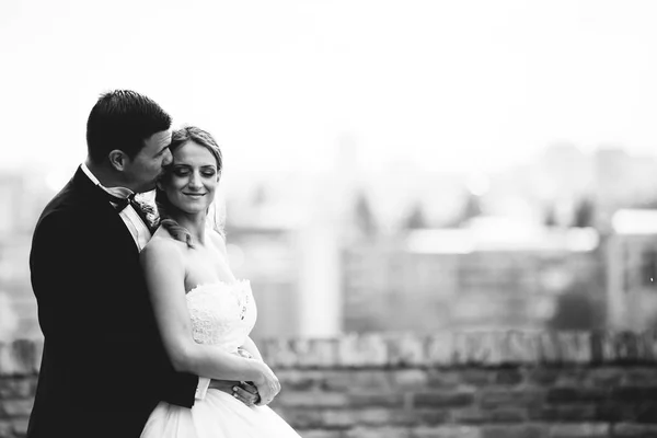 Wedding couple outdoors — Stock Photo, Image