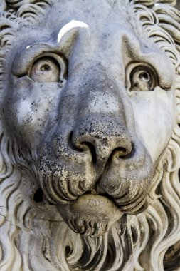 Aslan kafalı.