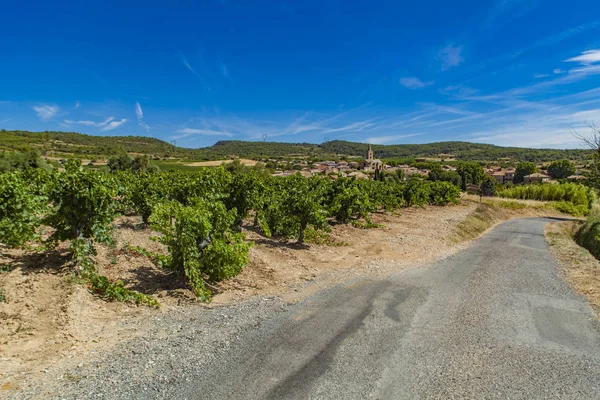 Languedoc-Roussillon province in France — Stok fotoğraf