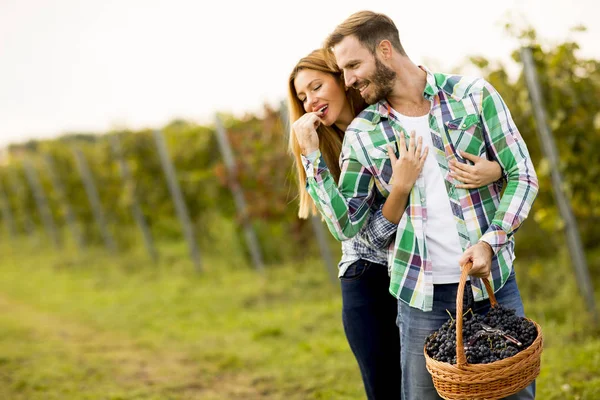 Jeune couple dans un vignoble — Photo