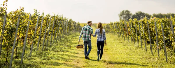 Молода пара в винограднику — стокове фото